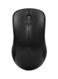Rapoo 1620 Wireless USB Optical Mouse Black