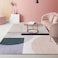 Mat for entrance door, floor mat, absorbent non-slip carpet 80 x 120 cm