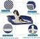 Flat Dog Toilet Seat With Column &amp; Grid Format Enclosure Dog Training Tray,Keep Paws and Floors Clean,Dog litter tray ,Washable Easy To Clean (Blue Color)