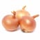 White Onion