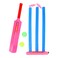 Plastic Cricket Set