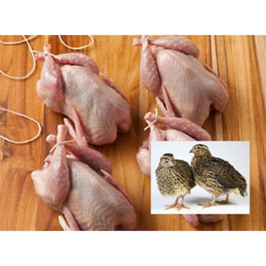 Fresh Super Jumbo Quail - 2 Pieces
