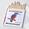 Specialist Crafts  Spectrum Watercolour Pencil  Set of 24