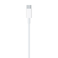 Apple USB-C To Lightning Cable White 1m