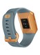 Fitbit Ionic Smartwatch, Slate Blue/Burnt Orange