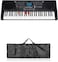 Mike Music 61 Keys Full Size Electronic Piano Keyboard portable Musical Instrument (825 with Bag)