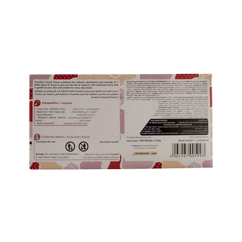 Carrefour Economic Soft Facial Tissues 100 Sheets