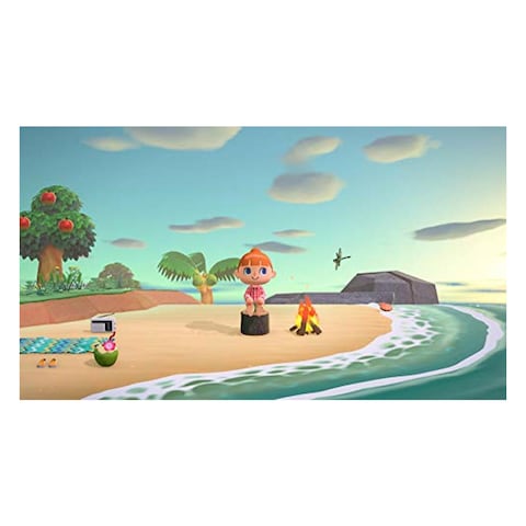 Nintendo Switch Animal Crossing New Horizons Game