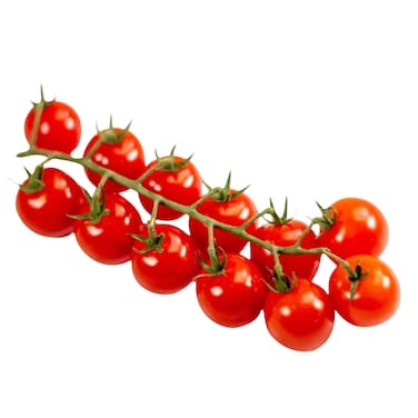 Tomato Cherry, Assorted, Hydroponic