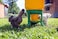 Novital 20kg Bird Feeder With Stand for Chicken / Hen &amp; Other Similar Birds ( Made in Italy)