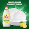 Fairy Plus Lemon Dishwashing Liquid with Bleach Alternative Power 1.25L