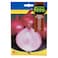 Semillas Fito Purple Onion Seeds