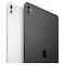 Apple iPad Pro Tablet 11-Inch 256GB Wi-Fi and Cellular with Standard Glass Space Black