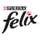 FELIX CAT CHICKEN 100G