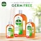 Dettol Antiseptic Antibacterial Liquid, 2L+500ml Free