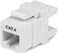 24-Port Cat6, Cat 6 Keystone Patch Panel (Blank Patch Panel) &amp; 180 Degree Cat 6 RJ45 Keystone Jack in White free mini wire stripper &amp; punch down