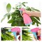 1PC.- 400ml Hand Pressed Watering Bottles / Plastic Spray bottles / Flowers Water Spray Bottle Sprayer /Sprinkler Nozzle Bottles, Pink.
