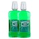 Enliven Fresh Mint Mouthwash 500ml Pack of 2