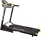 Skyland Treadmill