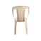 Nilkamal Plastic Monoblock Chair - Brown