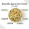 AWAFI MILL Frankincense Royal Incense - Pure Boswellia Sacra Resin from Yemen (Bottle of 50 gram / 1.7 Oz)