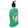 Oasis Moisturizing Hand Wash Green Apple 500 ml