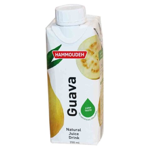 Hammoudeh Juice Guava Nectar Flavor 250 Ml