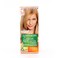 Garnier Colors Naturals 9 Extra Light Blond