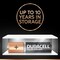 Duracell Plus Power Type AAA Alkaline Battery - 2 Batteries