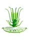 Munchkin Sprout Baby Bottle Drying Rack White &amp; Green