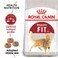 Feline Health Nutrition Fit 32 - 10 KG