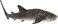 Animal Planet Mojo Whale Shark Toy Figure