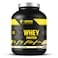Body Builder Whey Protein, Vanilla  Marshmallow, 4 LB