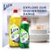 Lux Regular Dishwashing Liquid 725ml Pack of 2