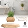 Keaac Fresh Small Levitating Air Bonsai Pot, Decorative Resin Flower Pot, Magnetic Levitation Suspension Floating Pot, Office Planter Plant Pots For Home Desk Decor-Wood 19X3Cm(7X1Inch) Amusing