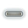 Apple USB-C To Pencil Adapter White
