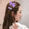 Aiwanto 2Pcs Hair Clips Hair Accessories Hair Fashion Clips for Girl's Women