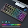HXSJ 2.4G Wireless Keyboard 87 Keys Multimedia Function RGB Backlit Rechargeable Keyboard for Computer Laptop Home Office (L100 Black)