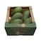 Karma Fresh Organic Avocado Fuerte Imported - Lebanon 1kg