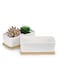 Generic 2 Pcs White Ceramic Rectangle Planter With Bamboo Tray, Planters For Succulents, Indoor Home Decor, 2 Rectangle Cactus Pot Set