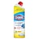 CLOROX GEL CITRUS PURITY 750ML