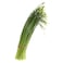 Garlic Chives Bunch