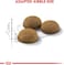 Royal Canin FHN Feline Health Nutrition Indoor Long Hair 2kg Cat Dry Food