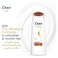 Dove Nourishing Oil Care Shampoo + Conditioner - 350 ml