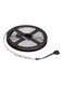 Generic LED Strip Light -Red/Green/Blue 5Meter