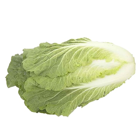 Chinese Cabbage
