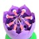 Party Time Lavender/ Purple Romantic Flower Musical Candles Happy Birthday Musical Candle Cake Topper - Cake Decoration