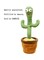 Dancing Cactus Plush Stuffed Toy with Music