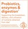 Now Probiotic, 100 Veggie Capsules, 25 Billion Active Cells