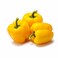CAPSICUM YELLOW KG